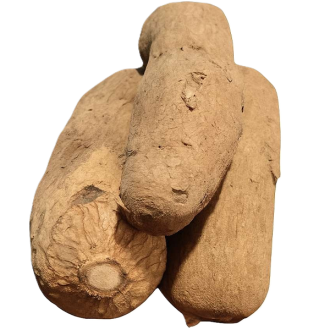 Yam