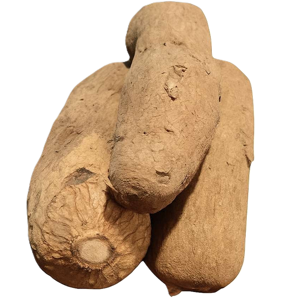 Yam