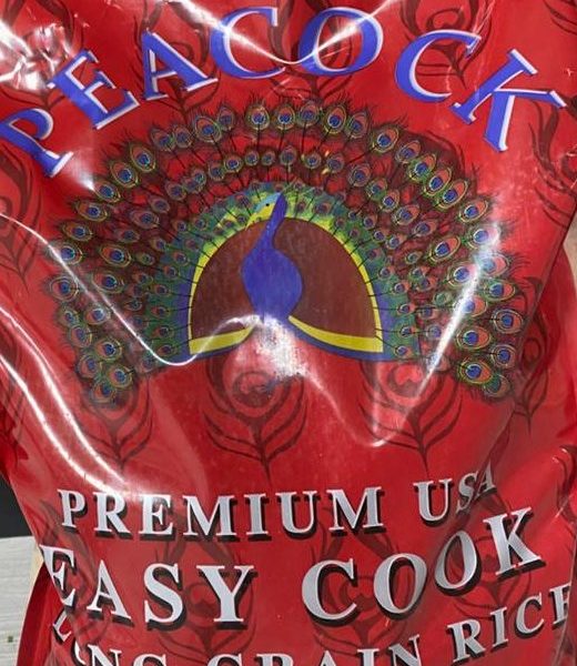 WhatsApp Image 2026-02-10 at 4.55.32 PM