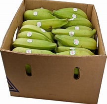 unriped plantain box